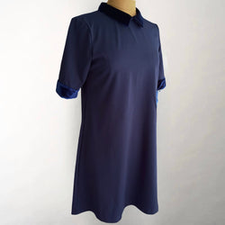 Blue Velvet Collar Dress