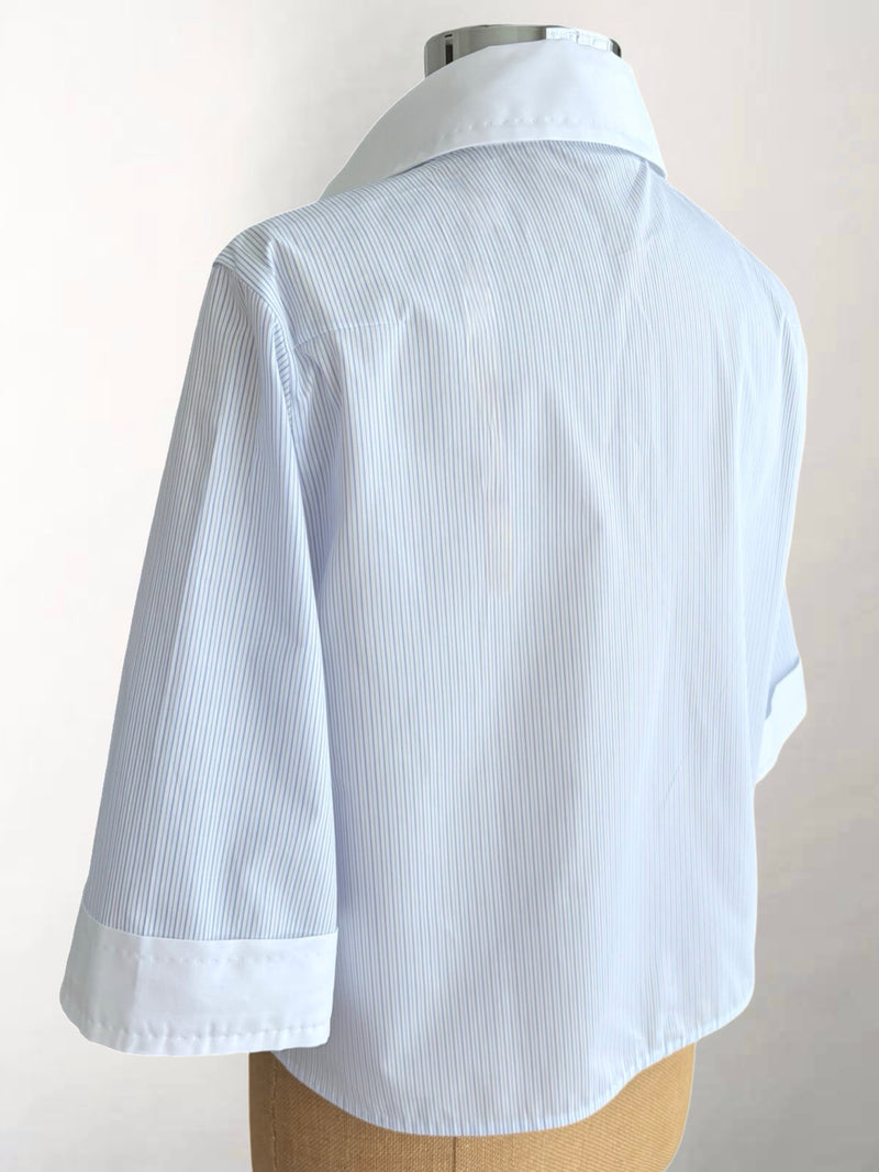 Blue Stripe with White Placket Shirt